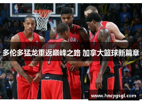 多伦多猛龙重返巅峰之路 加拿大篮球新篇章