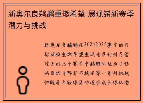 新奥尔良鹈鹕重燃希望 展现崭新赛季潜力与挑战