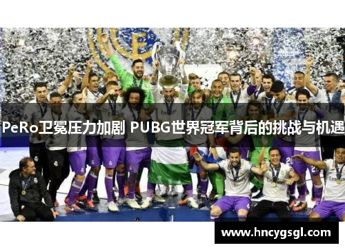 PeRo卫冕压力加剧 PUBG世界冠军背后的挑战与机遇