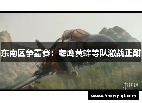 东南区争霸赛：老鹰黄蜂等队激战正酣