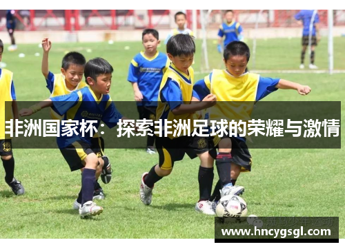 非洲国家杯：探索非洲足球的荣耀与激情
